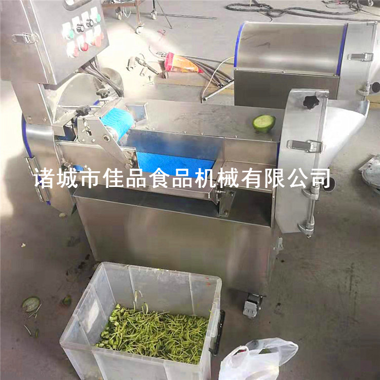 葉類蔬菜切菜機(jī) 佳品機(jī)械