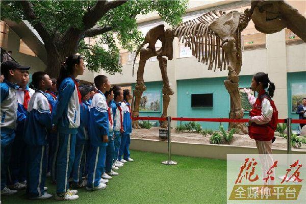 【第一眼】慶陽市博物館開展多項活動慶?！?·18國際博物館日”