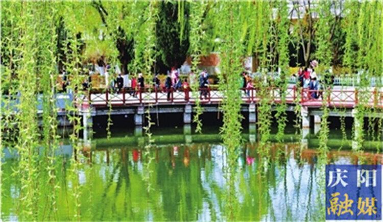 一點(diǎn)慶陽 | 忽然春來（康?。?>

                        <div   id=