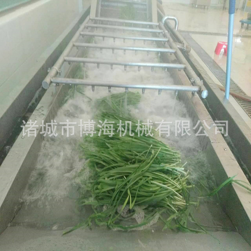 廠家定做商用蔬菜清洗機(jī) 大型氣泡洗菜機(jī) 酸菜清洗脫鹽機(jī) 博海牌*