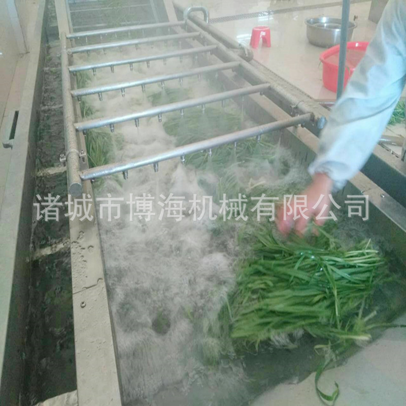 廠家定做商用蔬菜清洗機(jī) 大型氣泡洗菜機(jī) 酸菜清洗脫鹽機(jī) 博海牌*