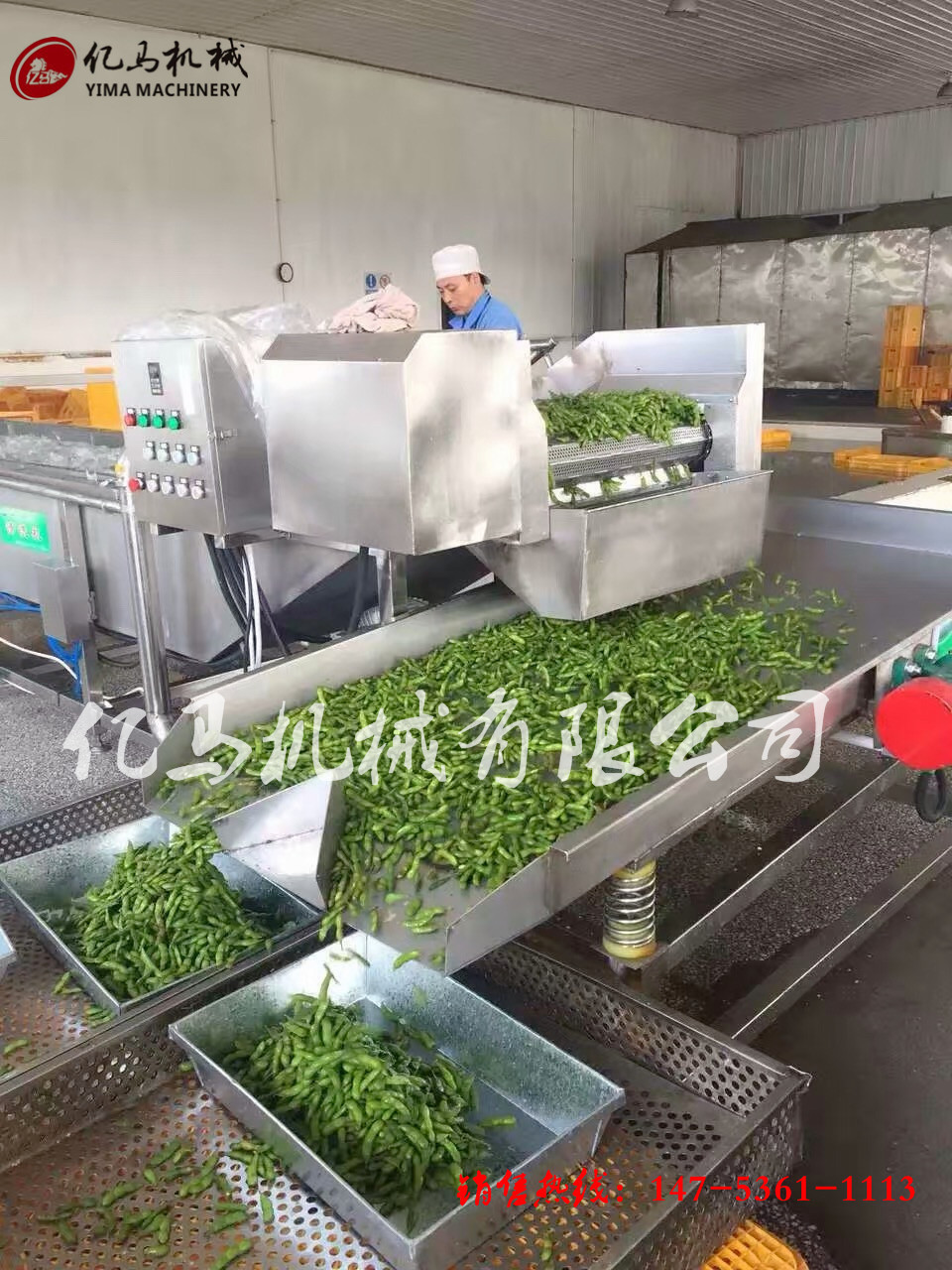 鼓泡氣泡清洗機 醬菜脫鹽清洗機 商用洗菜機全自動果蔬清洗機