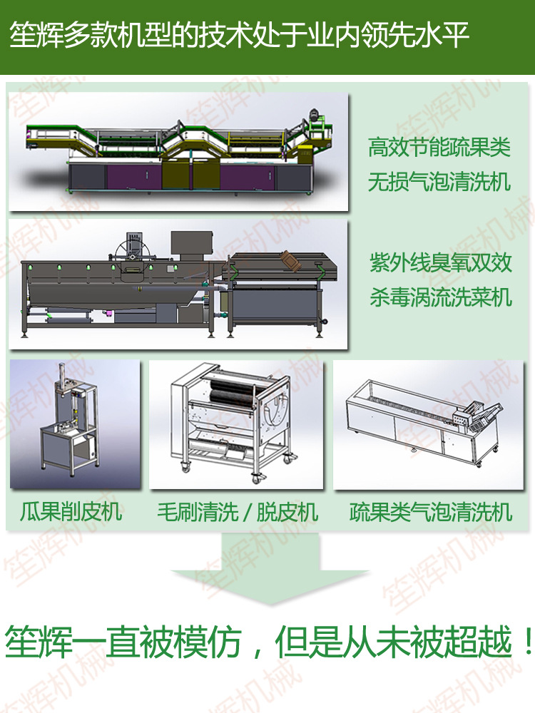 商用各季節(jié)大型蔬菜水果清洗機(jī) 蔬菜大棗清洗機(jī) 果蔬青菜類洗菜機(jī)