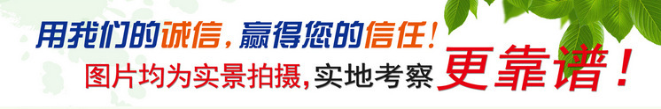 供應雙絞龍真空拌餡機 腸類餡料拌餡機 商用自動拌料機 攪拌均勻