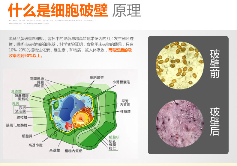 自動加熱 多功能家用破壁料理機 果汁豆漿榨汁機 商用絞肉攪拌機