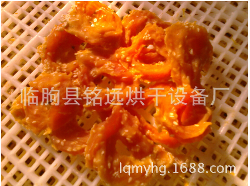 家商用不銹鋼干果機水果蔬菜脫水風干藥材寵物食品食物定時烘干機