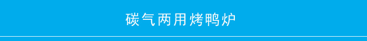 廠家直銷 熱銷款商用碳氣兩用自動旋轉烤魚烤鴨爐 可定做