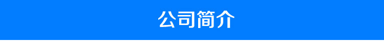 商用迷你炸鍋/單缸油炸機(jī)器/燃?xì)庥驼ㄥ伾逃?炸油條/炸薯?xiàng)l加厚型