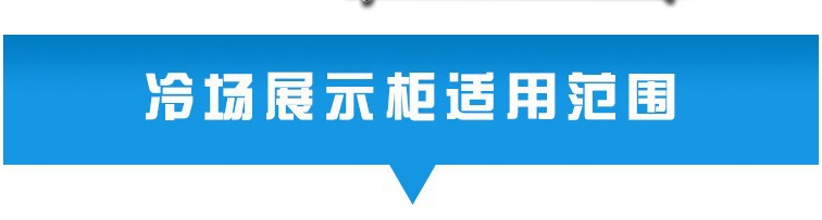 廠家直銷冰柜批發(fā) 立式雙門商用冰箱便利店展示柜超市飲料陳列柜