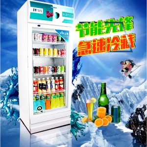 聯眾展示冷柜立式商用冷餐冰柜啤酒柜飲品水果保鮮柜飲料柜