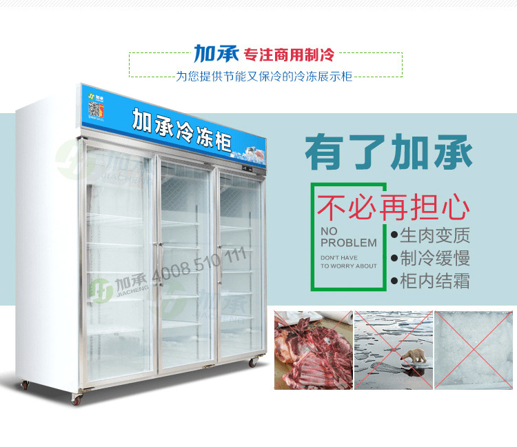 冷鮮肉凍丸子食品展示冰柜冷柜單溫風(fēng)冷冷凍柜餃子柜