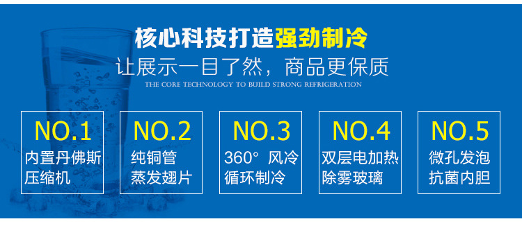 冷鮮肉凍丸子食品展示冰柜冷柜單溫風(fēng)冷冷凍柜餃子柜