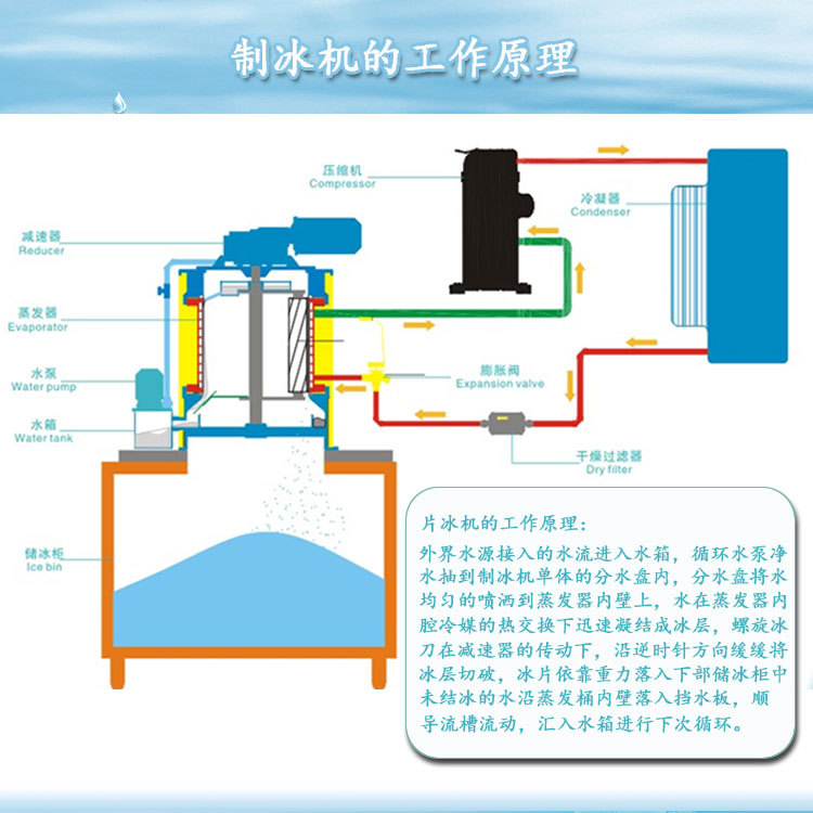 利爾LR-03T商用片冰機 300公斤小型超市火鍋店冷藏保鮮片冰制冰機