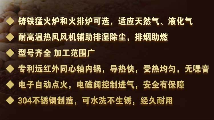 廠家直銷大型商用不銹鋼燃氣炒貨機 休閑食品炒貨機 炒板栗機