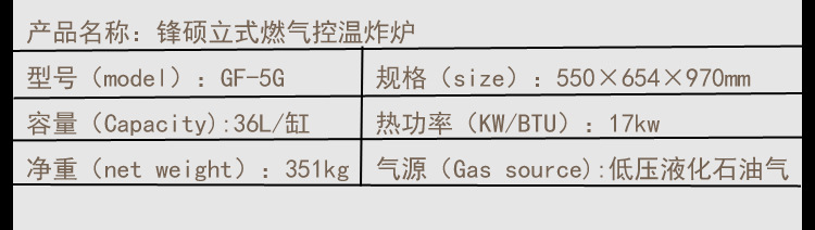 油炸設備燃氣炸爐 大容量商用立式控溫油炸鍋 煤氣炸雞排油炸機