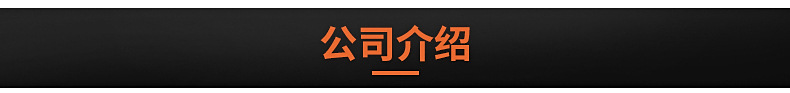 供應批發 不銹鋼燃氣煮面爐 雙頭關東煮煮爐 臺式煮面爐 小氣鬼